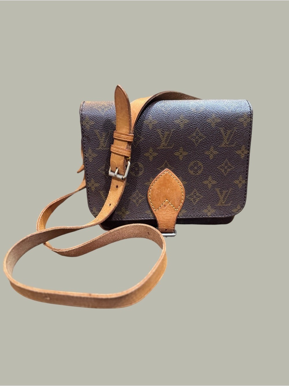 Louis Vuitton Cartouchière MM, Dust Bag , Entrupy COA